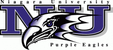 Niagara Purple Eagles 2001-Pres Primary Logo heat sticker