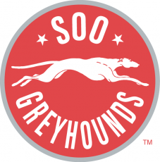 Sault Ste. Marie Greyhounds 2009 10-2012 13 Primary Logo custom vinyl decal