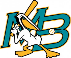 Myrtle Beach Pelicans 1999-2006 Primary Logo heat sticker