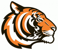 Princeton Tigers 2003-Pres Alternate Logo custom vinyl decal
