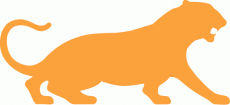 Princeton Tigers 1984-Pres Alternate Logo heat sticker