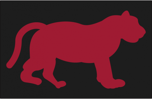 Detroit Tigers 1901-1902 Cap Logo heat sticker