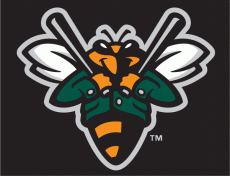 Augusta Greenjackets 2006-2017 Cap Logo 2 heat sticker