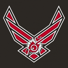 Airforce New Jersey Devils Logo heat sticker