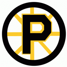 Providence Bruins 1992 93-1994 95 Primary Logo custom vinyl decal