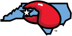 Hickory Crawdads 2016-Pres Alternate Logo heat sticker