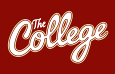 College of Charleston Cougars 2013-Pres Wordmark Logo 06 heat sticker