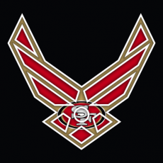 Airforce San Francisco 49ers logo heat sticker