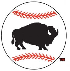 Buffalo Bisons 2005-2008 Alternate Logo heat sticker