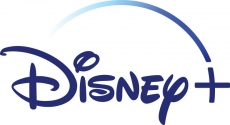 Disney Logo 06 heat sticker