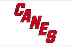 Carolina Hurricanes 2019 20-Pres Jersey Logo heat sticker