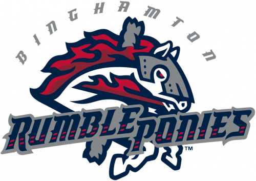 Binghamton Rumble 2017-Pres Primary Logo heat sticker