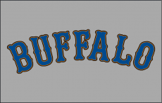 Buffalo Bisons 2009-2012 Jersey Logo heat sticker