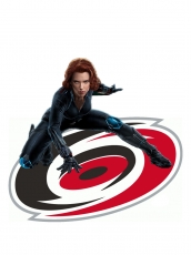 Carolina Hurricanes Black Widow Logo heat sticker