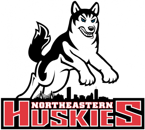 Northeastern Huskies 2001-2006 Primary Logo heat sticker