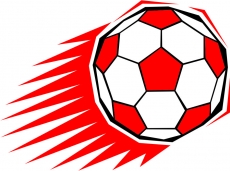 Soccer Logo 07 custom vinyl decal
