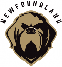 Newfoundland Growlers 2018 19-Pres Alternate Logo custom vinyl decal