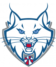 Minnesota Lynx 2011-2017 Alternate Logo custom vinyl decal