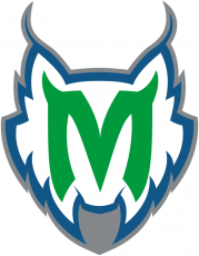 Minnesota Lynx 1999-2017 Alternate Logo custom vinyl decal