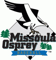 Missoula Osprey 1999-Pres Primary Logo heat sticker