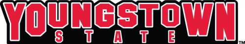 Youngstown State Penguins 1993-Pres Wordmark Logo heat sticker