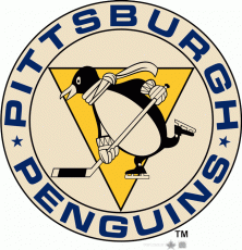 Pittsburgh Penguins 2010 11-2012 13 Alternate Logo custom vinyl decal