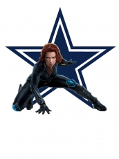Dallas Cowboys Black Widow Logo heat sticker