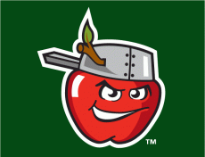 Fort Wayne Tincaps 2008-Pres Cap Logo heat sticker
