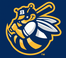 Burlington Bees 2007-Pres Cap Logo heat sticker