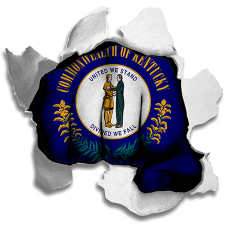 Fist Kentucky State Flag Logo heat sticker