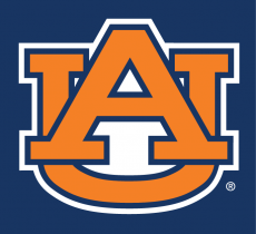 Auburn Tigers 1991-Pres Alternate Logo heat sticker