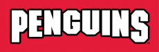 Youngstown State Penguins 1993-Pres Wordmark Logo 03 heat sticker