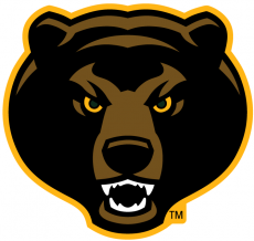 Baylor Bears 2005-2018 Alternate Logo 07 heat sticker
