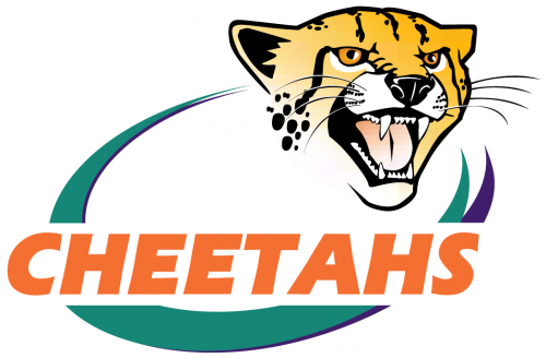 Central Cheetahs 2005-Pres Primary Logo heat sticker