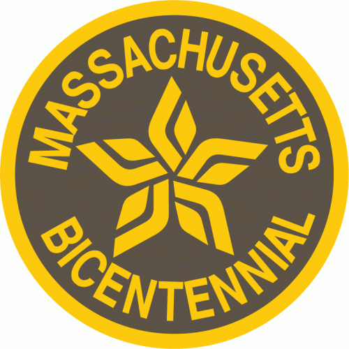 Boston Bruins 1975 76 Misc Logo heat sticker