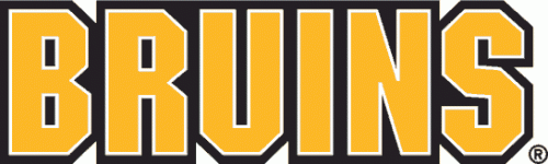 Boston Bruins 1995 96-2006 07 Wordmark Logo 02 heat sticker