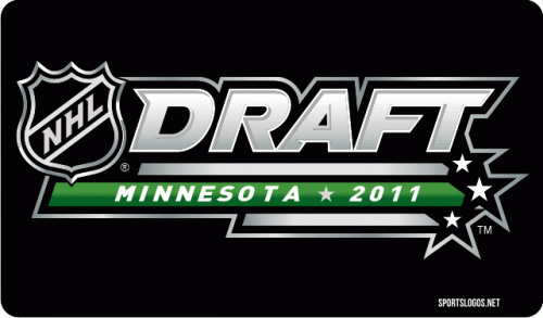 NHL Draft 2010-2011 Alternate Logo heat sticker