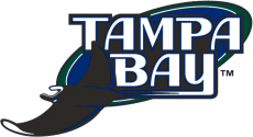 Tampa Bay Rays 2001-2007 Primary Logo heat sticker