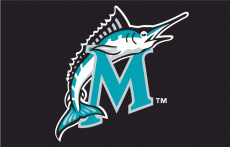 Miami Marlins 1999-2002 Batting Practice Logo heat sticker