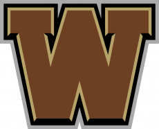 Western Michigan Broncos 2016-Pres Secondary Logo 02 heat sticker