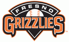 Fresno Grizzlies 2008-2018 Wordmark Logo heat sticker