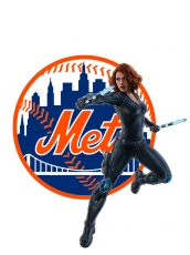 New York Mets Black Widow Logo heat sticker