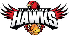 Illawarra Hawks 2015 16-Pres Primary Logo heat sticker