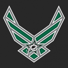 Airforce Dallas Stars logo heat sticker