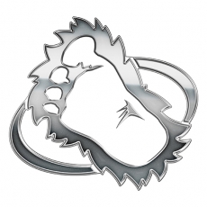 Colorado Avalanche Silver Logo heat sticker