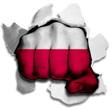 Fist Poland Flag Logo heat sticker