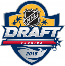 NHL Draft 2014-2015 Logo heat sticker