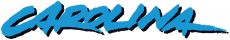 Carolina Panthers 1995-2011 Wordmark Logo 01 custom vinyl decal