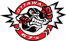 Ottawa 67s 2012 13-Pres Alternate Logo custom vinyl decal