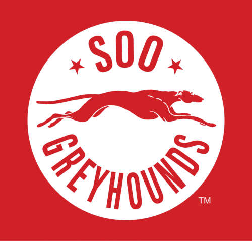Sault Ste. Marie Greyhounds 2013 14-Pres Alternate Logo heat sticker